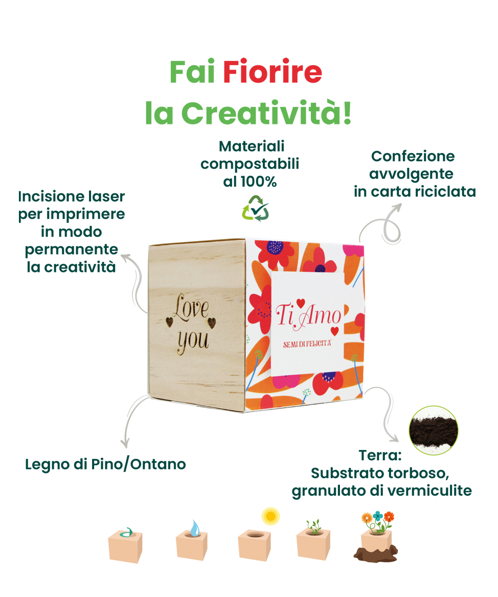 iGreen Cube info