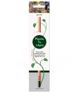Matite-Flor-silvestre