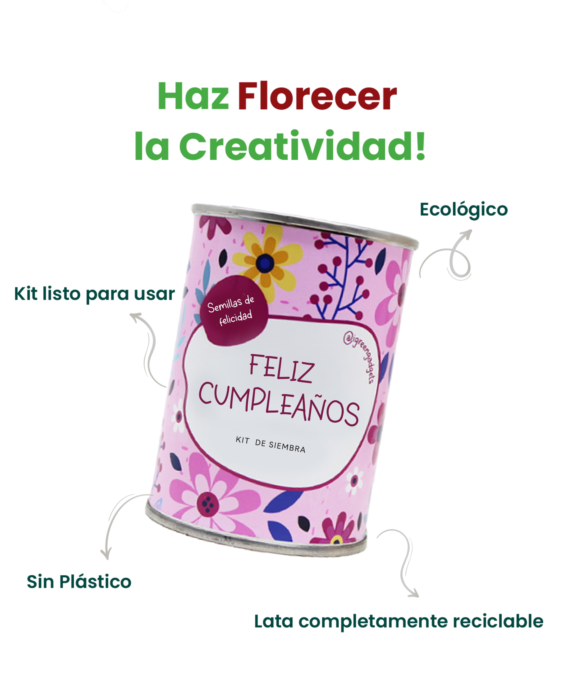 Microjardines De Felicitación